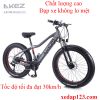 Xe đạp bánh béo điện AZ 36V 10AH - anh 2