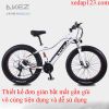 Xe đạp bánh béo điện AZ 36V 10AH - anh 3