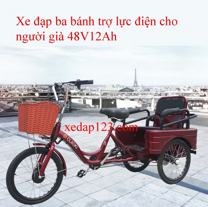 Xe đạp ba bánh trợ lực điện cho người già