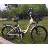Xe đạp mini điện FRX - anh 10