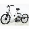 Xe đạp ba bánh điện 24inch - anh 1