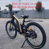 Xe đạp điện khung nhôm 48V10Ah - anh 3